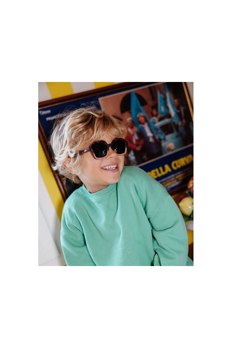 Lunettes de soleil Hossy craky terra