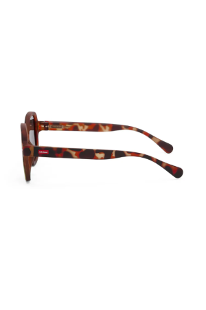 Lunettes de soleil Koody Craky Khaki