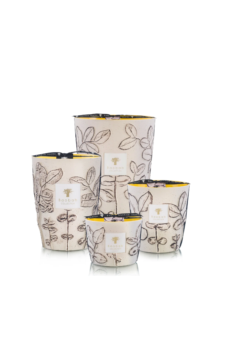 BOUGIE BAOBAB Max 16 CALANQUE Bergamote - thé vert -musc