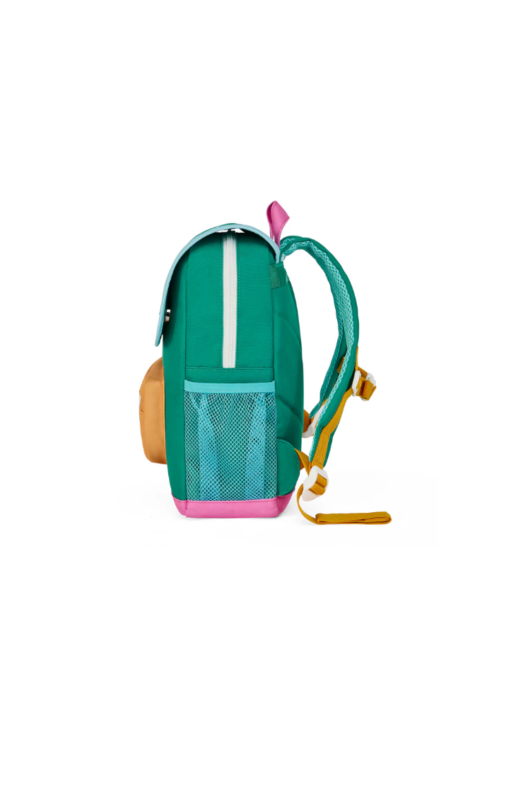 Sac Ali