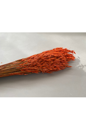 Fleurs Botte d'avoine séchée orange rouge terracotta hauteur 70cm