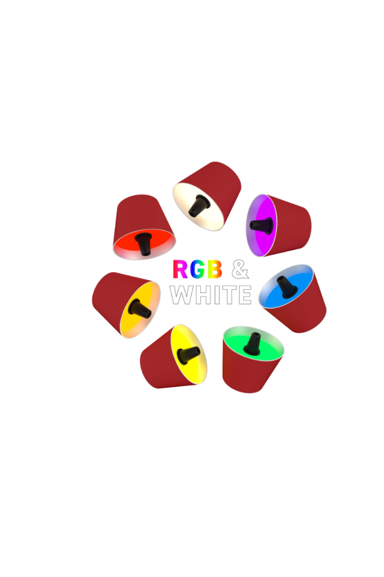 Lampe bouteille à accumulateur RGBW coloré