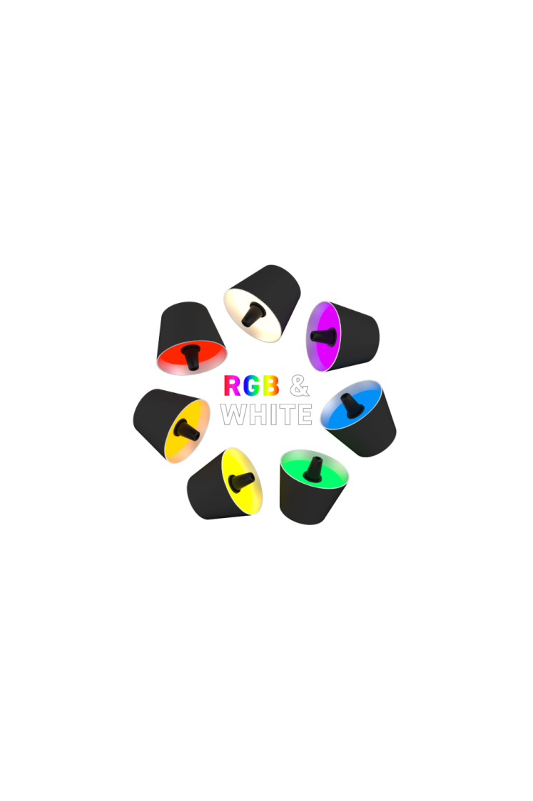 Lampe bouteille à accumulateur RGBW coloré